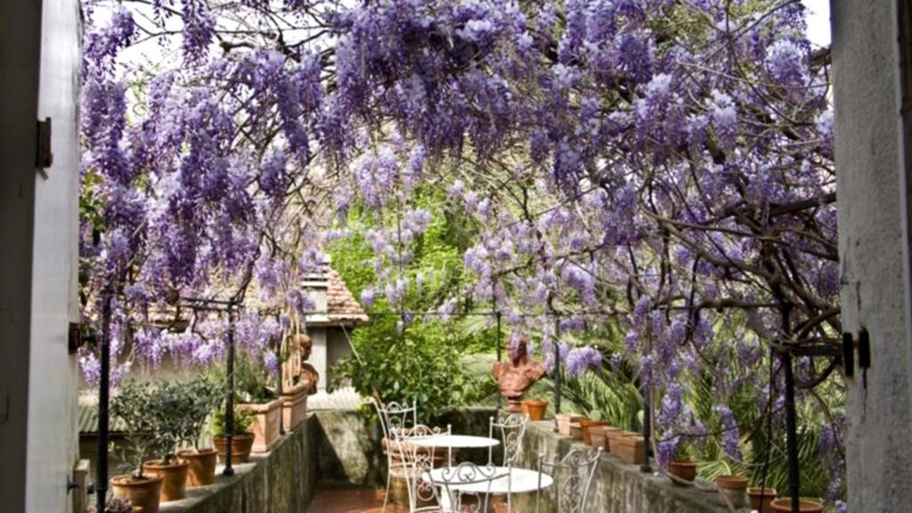 Locanda Sant' Agostino Lucca Eksteriør billede